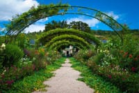 CDG Transfers with Eiffel Tower and Walking Tour of Belleville. 2