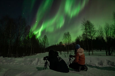 økologisk ego Tredive Northern Lights Tours in Rovaniemi, Lapland, Finland