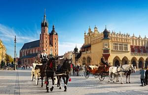 Krakow Cultural Capital of Poland - PRIVATE tour from Zakopane (8h)