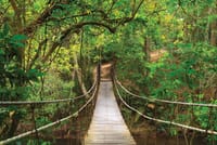 UNESCO Khao Yai National Park Adventure: Hiking & Waterfalls 7