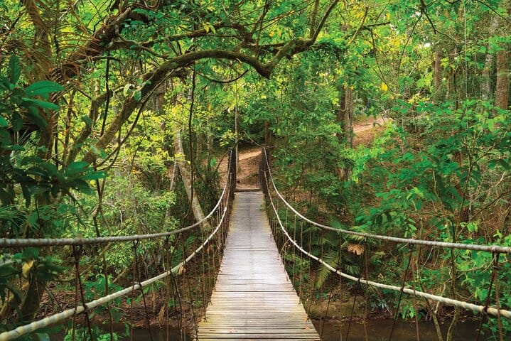 UNESCO Khao Yai National Park Adventure: Hiking & Waterfalls 7