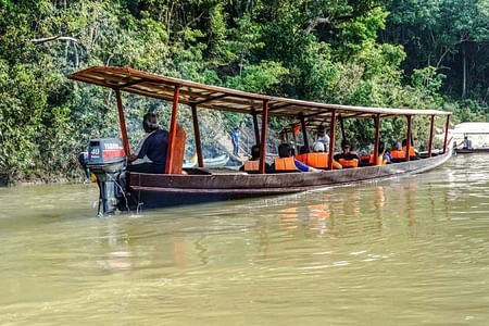 Taman Negara Tour
