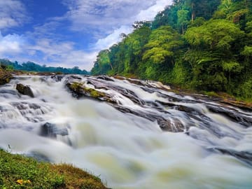 Athirapilly Waterfalls Day Trip from Cochin
