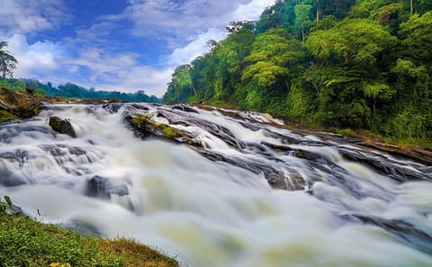 Athirapilly Waterfalls Day Trip from Cochin