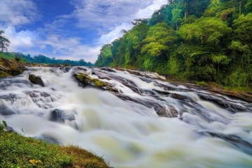 Athirapilly Waterfalls Day Trip from Cochin