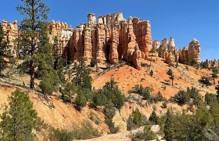 Small Group Day Tour To Explore Bryce Canyon & Zion National Park