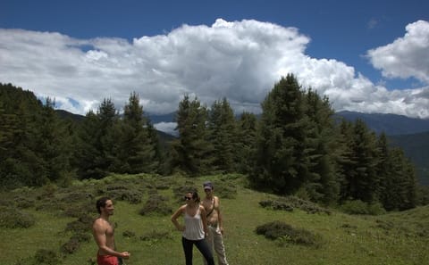 Bumthang Owl Camping Trek: 3-Day Nature Adventure in Bhutan