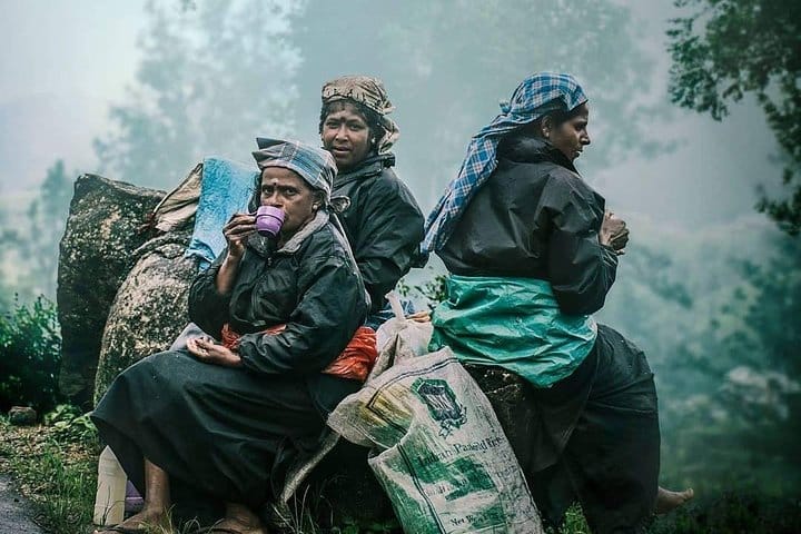 Glamour Of Sri Lanka | 7 Days