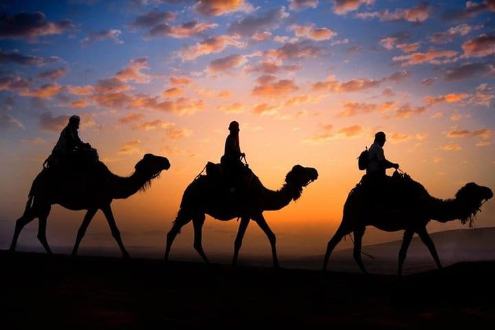 Merzouga Dunes Sunset Camel Ride in Morocco