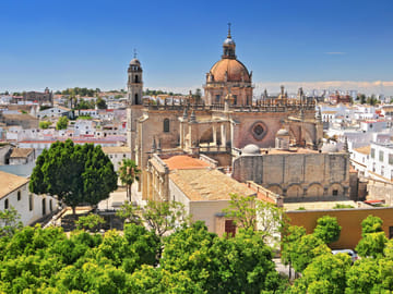 Private Walking Tour of Jerez's Historic Highlights