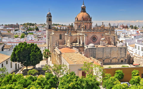 Private Walking Tour of Jerez's Historic Highlights