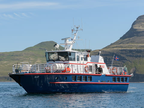 Whale Watching in Ísafjarðardjúp , photo 2