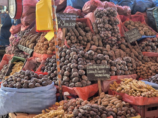 San Camilo Market Walking Tour 9