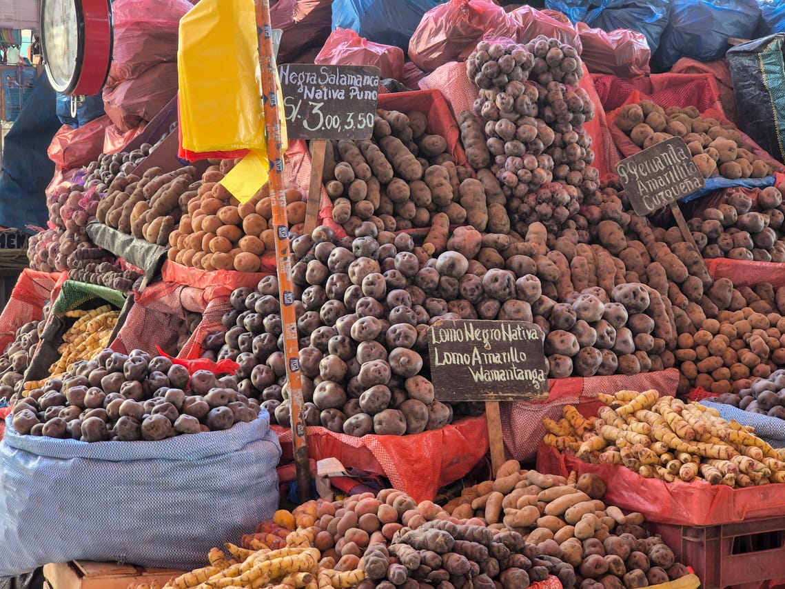 San Camilo Market Walking Tour 9