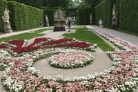 Flowers Linderhof Garden