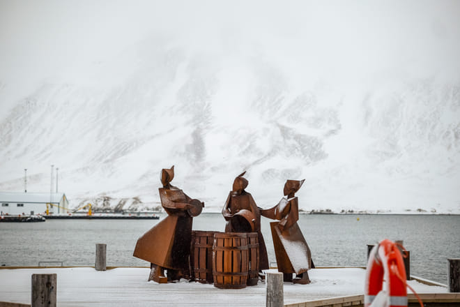Arctic Coastline & Siglufjörður photo 3
