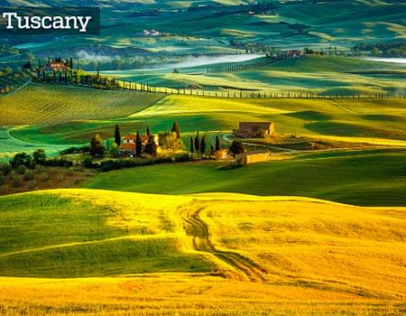 Chianti Wine Tour: Explore Wineries & San Gimignano’s Medieval Charm