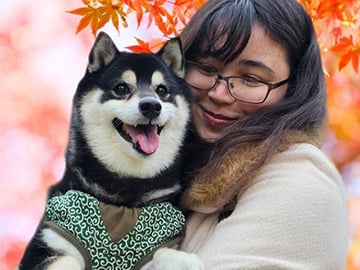 Tokyo Private Autumn Leaves Walk with a Shiba Inu