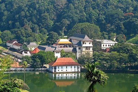 Private Day Tour of Kandy: Temple of Tooth, Tea Factory & Spice Garden