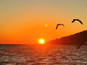 Witness time stand still on the Princes' Islands, famous for their natural beauty and sunsets.