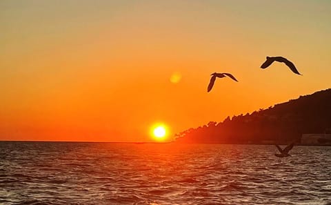 Sunset Bike Tour and Nature Walk on Buyukada Island