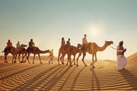 Camel Trekking In Abu Dhabi with Transfer, Fun and More 6