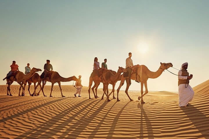Camel Trekking In Abu Dhabi with Transfer, Fun and More 6