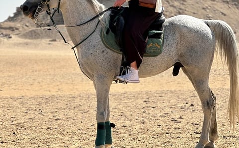 Abusir Horseback Riding and Fifth Dynasty Pyramids Tour
