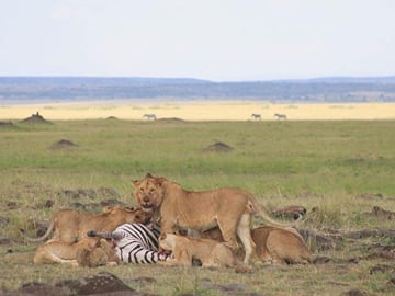 nakuru
