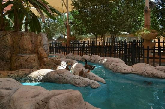 Abu Dhabi: Emirates Park Zoo – Interact, Explore, Discover Wildlife!