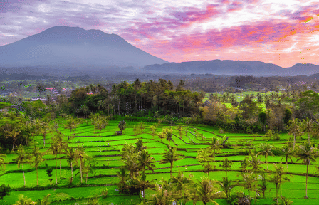 Cultural and Nature Tour of Amlapura in East Bali