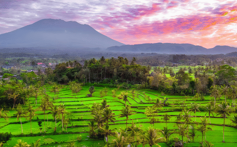 Cultural and Nature Tour of Amlapura in East Bali