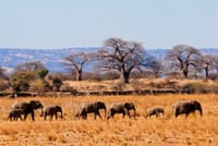 Jeep Safari Zanzibar Island 3 Day Private Tour 5