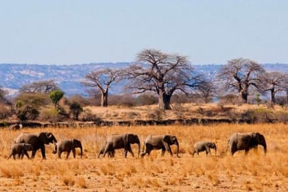 Jeep Safari Zanzibar Island 3 Day Private Tour