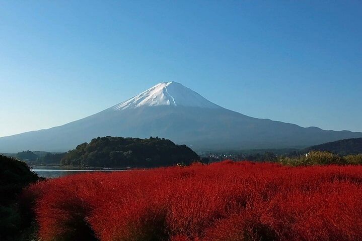 Full Day Tour in Mount Fuji and Oishi Park with Fruit Picking