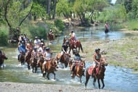 Marmaris: Horse Riding Experience with Transfer 6