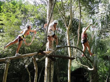 Tree Climbing Adventure in Bonito, Brazil