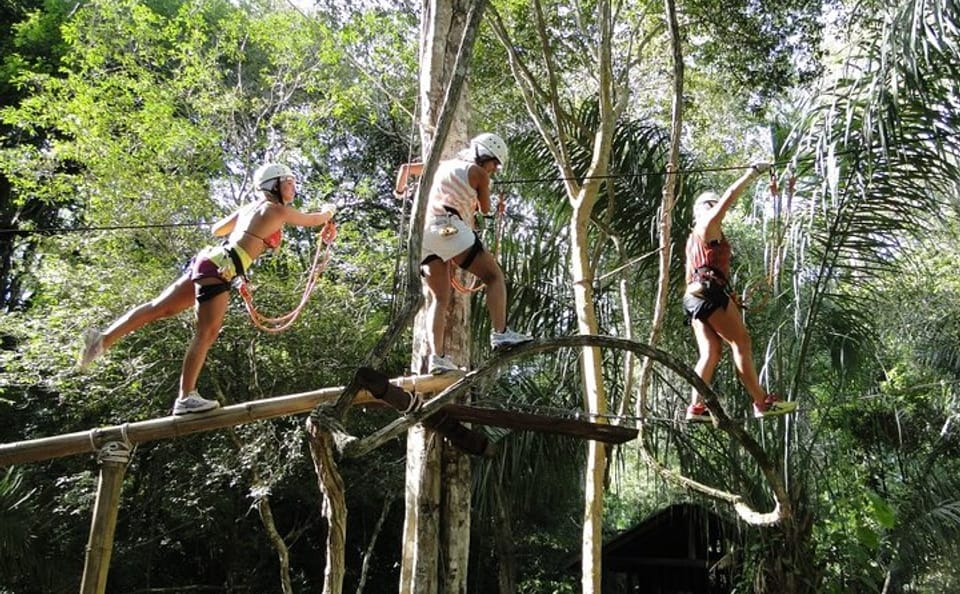 Tree Climbing Adventure in Bonito, Brazil
