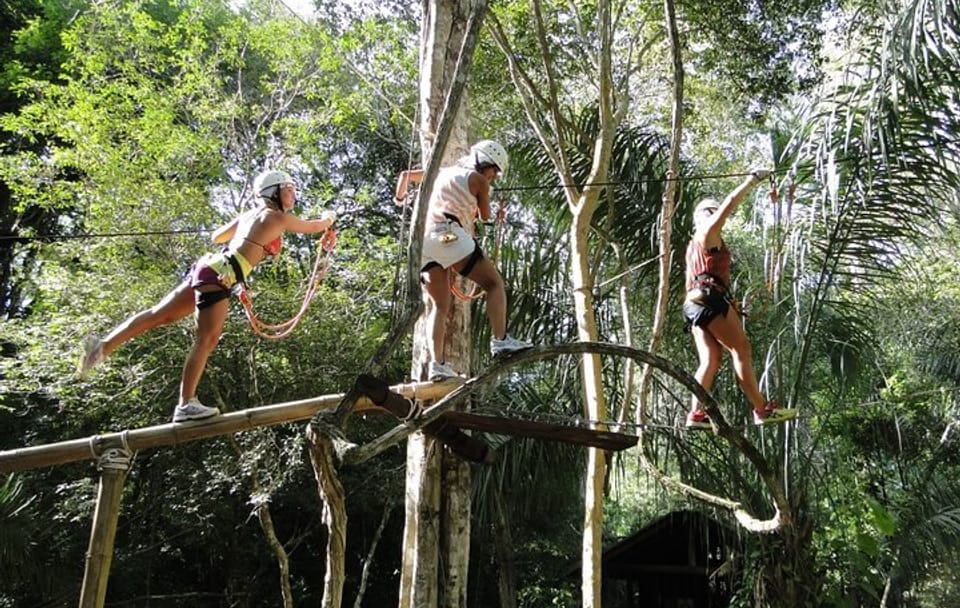 Tree Climbing Adventure in Bonito, Brazil