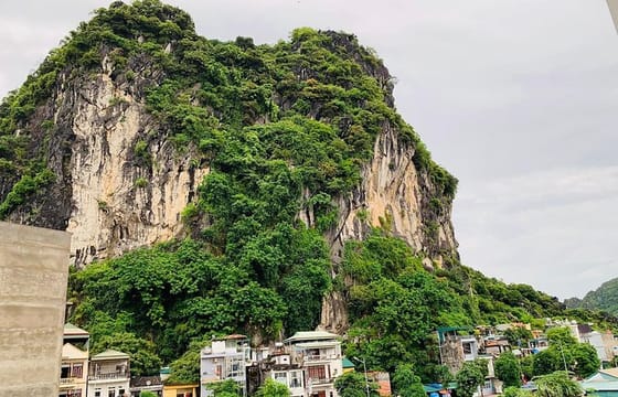 Shore Excursion: HA LONG CITY OF CULTURE & LANDSCAPE FROM HA LONG PORT