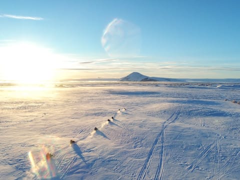 Lake Mývatn Wilderness Snowmobile Safari, photo 4