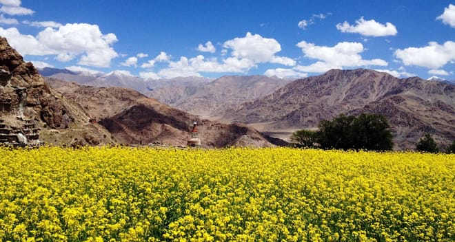 In The Land Of Lama - The Great Ladakh Tour photo 2