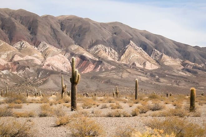 Flavors of Altura, I lived Cachi and Hornocal in 2 days 10
