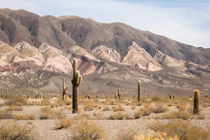 Flavors of Altura, I lived Cachi and Hornocal in 2 days 10