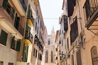 TOP Palma de Mallorca : Private guided tour with your mobile 6