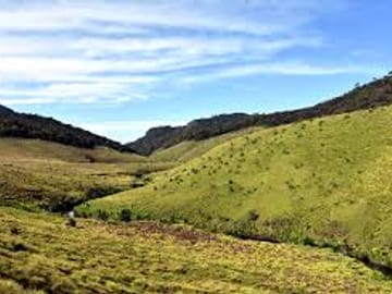 Horton Plains and Tea Estate Day Trip in Nuwara Eliya