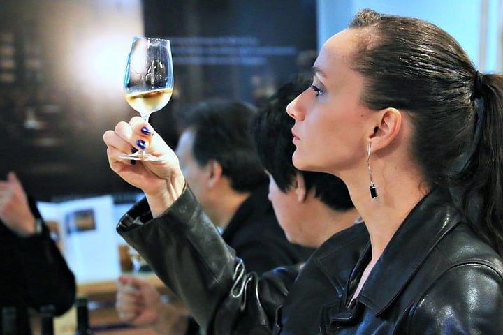 Premium Argentine Wine and Gourmet Tasting Tour in Palermo Soho