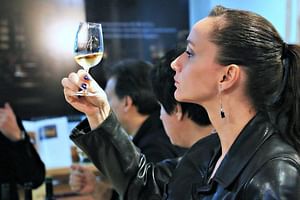 Premium Argentine Wine Tour and Gourmet Tasting