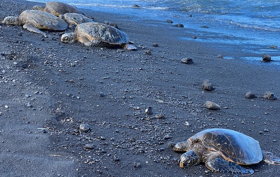 Private Big Island: Volcano, Waterfalls & Coffee Full-Day Tour