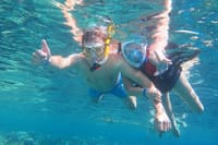 Private Speed Boat to DOLPHINS House &amp; Water activities -HURGHADA